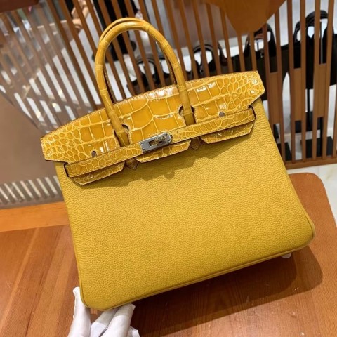Hermès Birkin 25 Mimosa and Crocodile Niloticus Touch Bag with Palladium Hardware