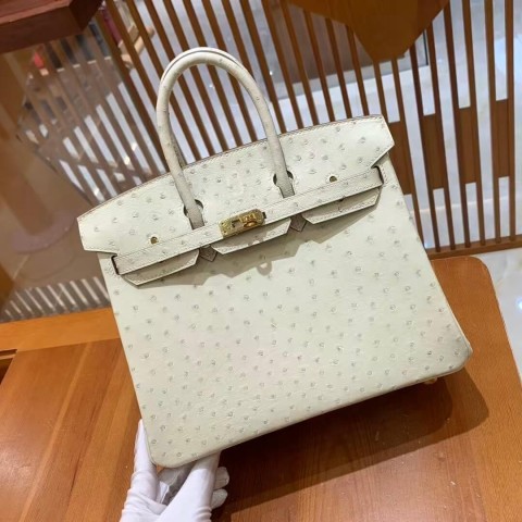 Hermès Birkin 25 Nata Ostrich with Gold Hardware