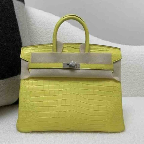 Hermès Birkin 25 Matte Porosus Crocodile M9 Marigold – Palladium Hardware