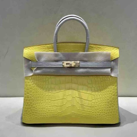 Hermès Birkin 25 Matte American Alligator Marigold with Pearl Grey – Gold Hardware