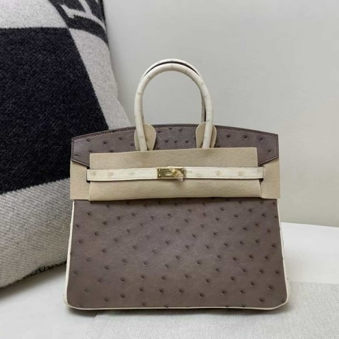 Hermès Birkin 25 Ostrich Moka & Nata with Gold Hardware
