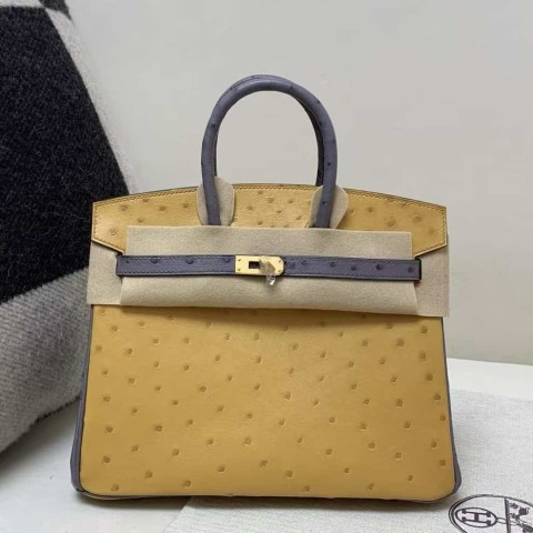 Hermès Birkin 25 Ostrich Curry & Violine with Gold Hardware