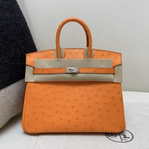 Hermès Birkin 25 Orange Ostrich with Palladium Hardware