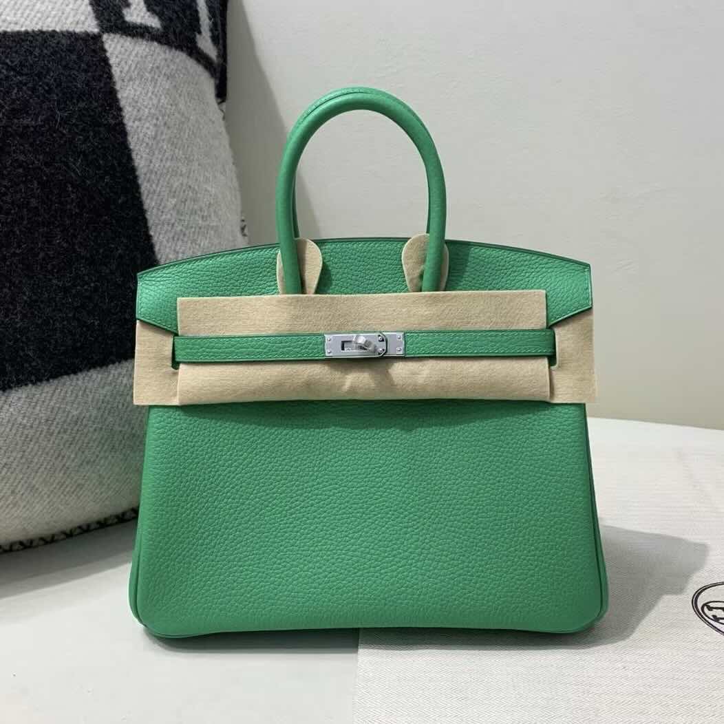 Hermès Birkin 25 Vert Jade Togo Leather with Palladium Hardware