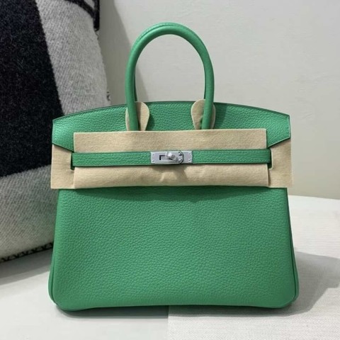 Hermès Birkin 25 Vert Jade Togo Leather with Palladium Hardware