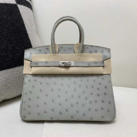 Hermès Birkin 25 Ostrich Gris Perle with Palladium Hardware
