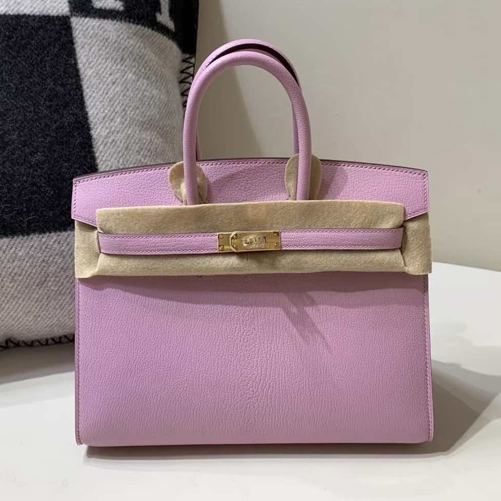 Hermès Birkin 25 Togo Mauve Sylvestre with Gold Hardware(HCP)