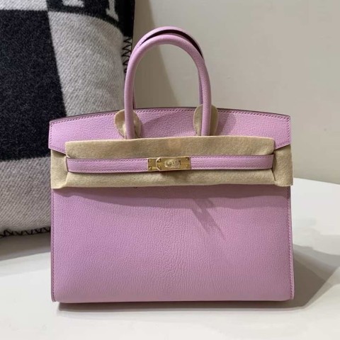 Hermès Birkin 25 Togo Mauve Sylvestre with Gold Hardware(HCP)