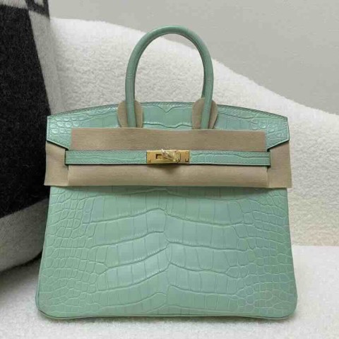 Hermès Birkin 25 Alligator Matte Menthe (6U Mint Green) with Gold Hardware