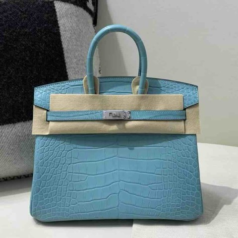 Hermès Birkin 25 Alligator Matte (Custom Order) with Palladium Hardware