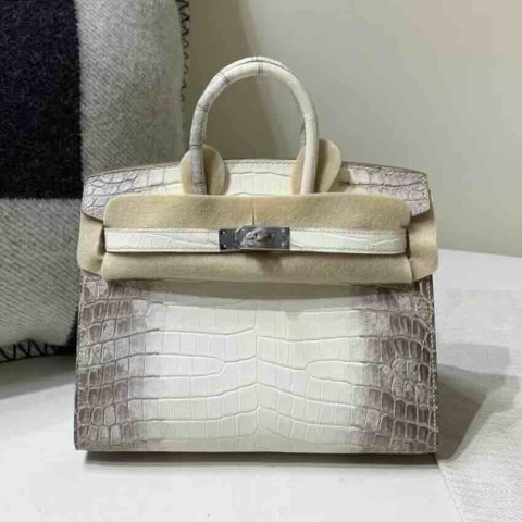Hermès Birkin 20 Niloticus Alligator Matte Himalaya with Palladium Hardware