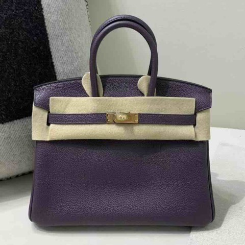 Hermès Birkin 25 Togo Raisin Purple with Gold Hardware
